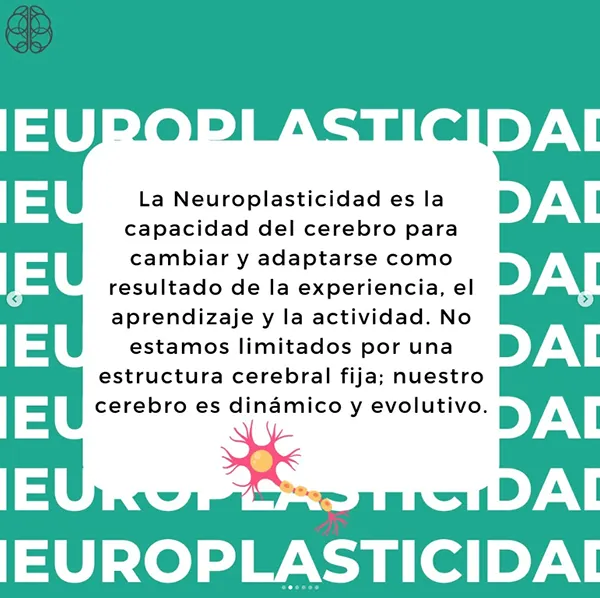 Carousel about neuroplasticity